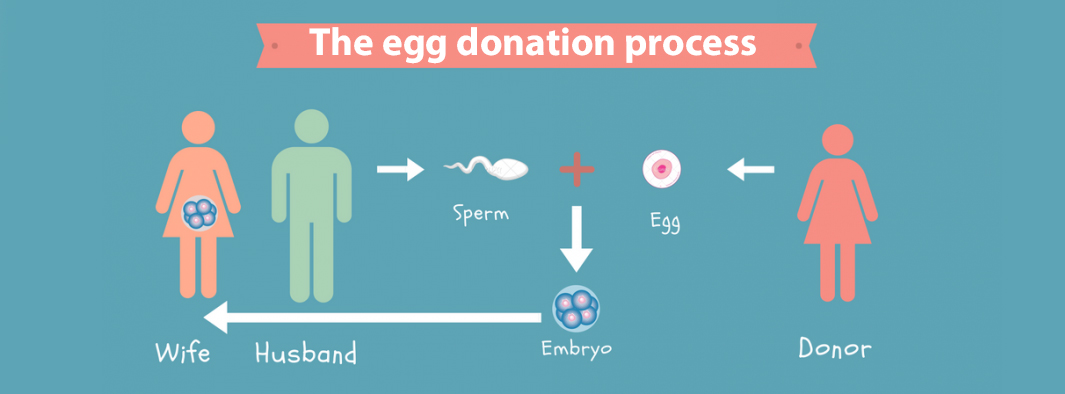 Egg (Oocyte) Donation in Lviv