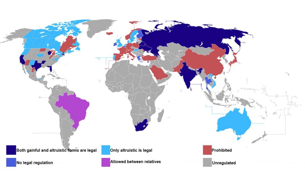 surrogacy law world map